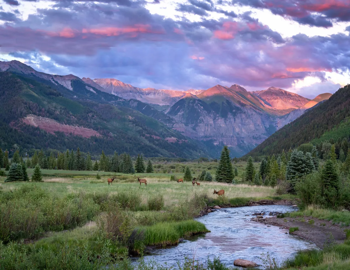 A peaceful scene featuring a clear mountain stream, elk grazing along the shore, and towering mountains beyond. The tranquil mood highlights the serene side of Telluride, ideal for hiking, wildlife watching, or simply unwinding in a breathtaking landscape.